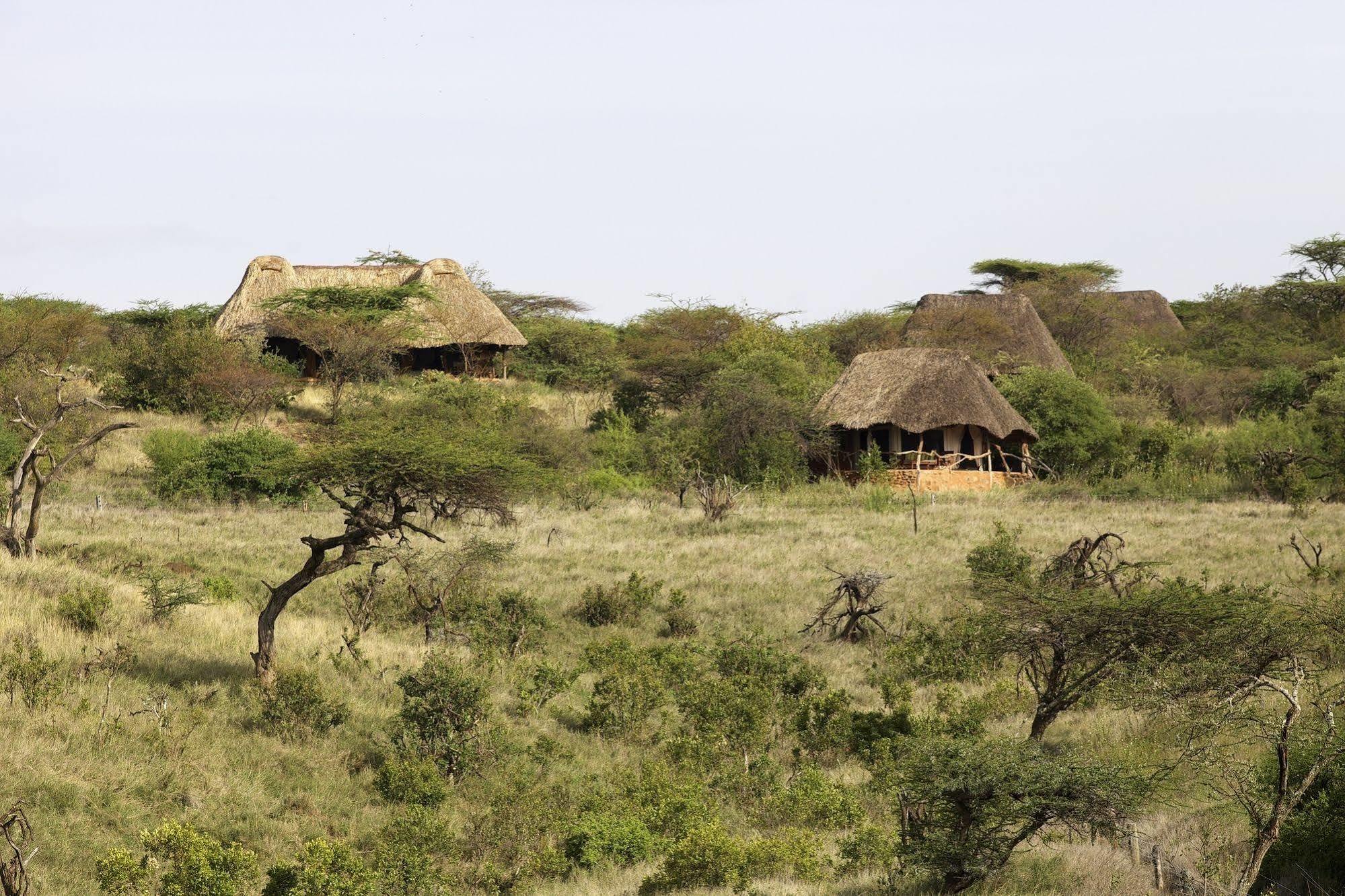 Elewana Lewa Safari Camp Hotel Timau Exterior foto